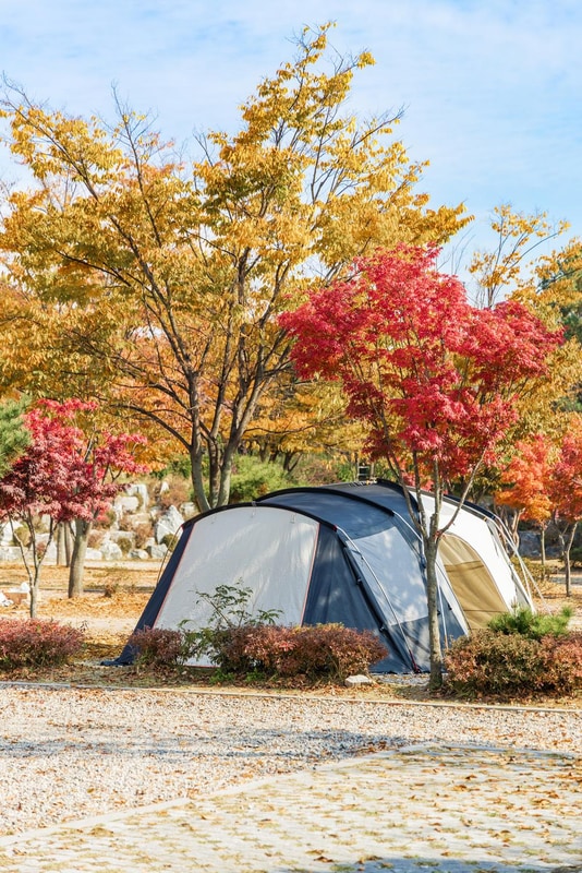 화성시 향남 오토캠핑장 시설 사진 59