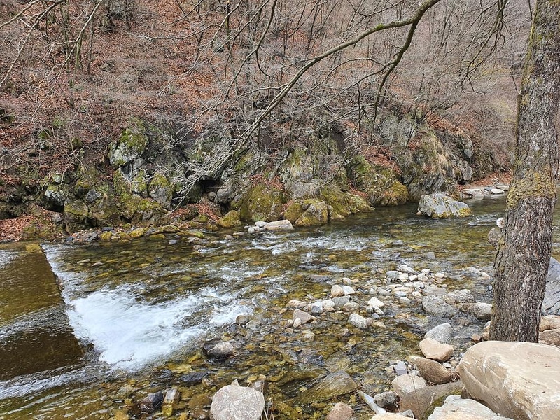 포레스트힐링캠프 시설 사진 41