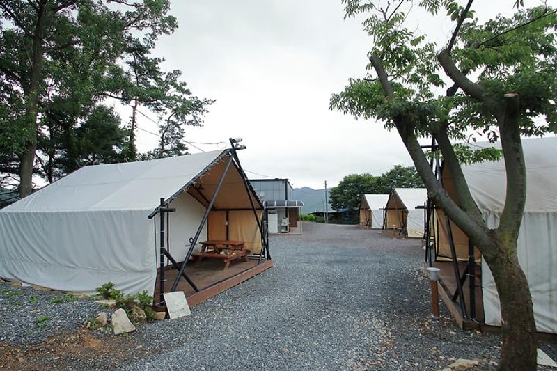 오투글램핑 대표 사진