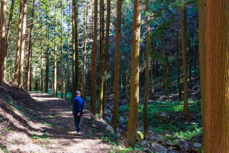 마실야영장 시설 사진 4