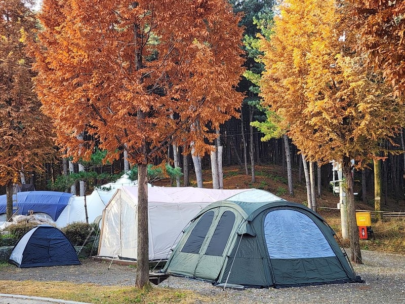 김포캠핑파크 주식회사 시설 사진 21