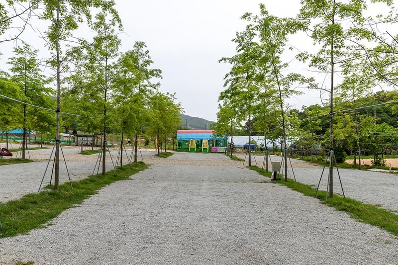 수덕 캠핑장 시설 사진 17