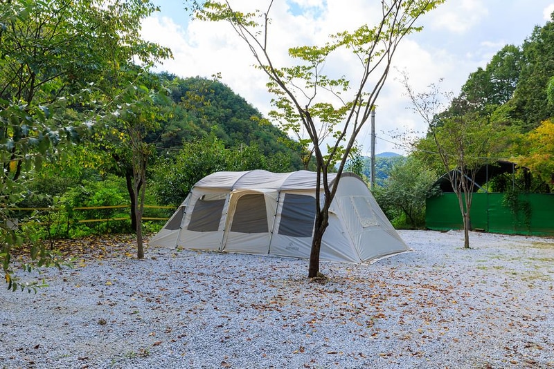 옥당걸숲속관광농원 시설 사진 10