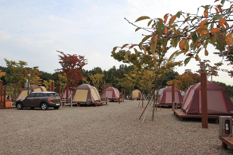 서천 금빛노을 서울캠핑장 시설 사진 19