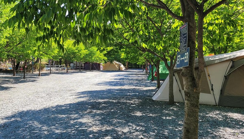 밀양스쿨오토캠핑장 시설 사진 2