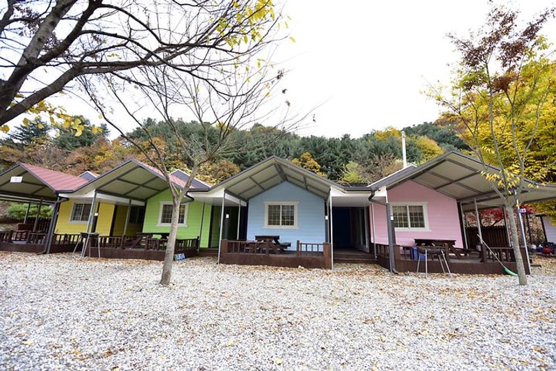 지지벨리 유명산 오토캠핑장 대표 사진