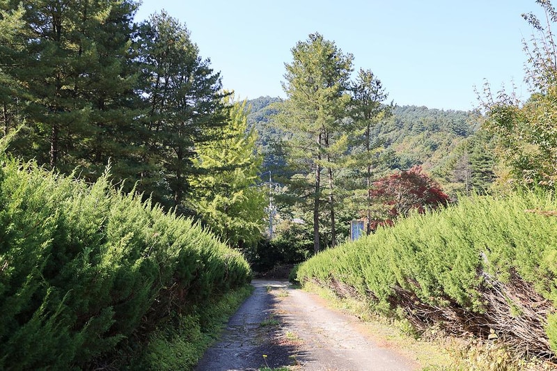 (주)구들택 겨울숲 지점 시설 사진 13