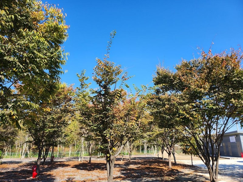 나무와 쉬리 시설 사진 1