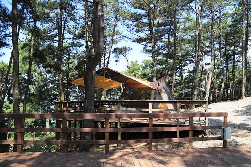 트리캠핑장 대표 사진