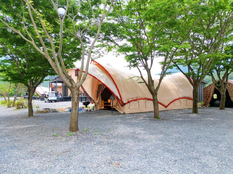 단양 글램핑&펜션 시설 사진 24