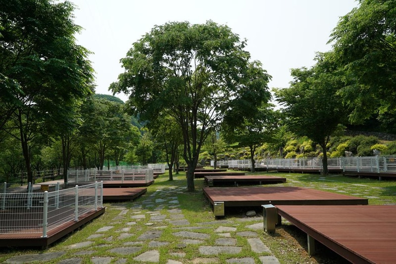 정선군생태체험학습장야영장 펫 동반 캠핑장 시설 사진 56