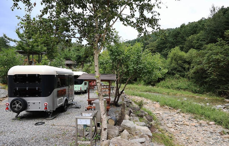 메기의 추억 시설 사진 16