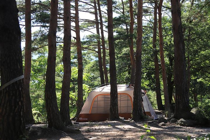솔봉계곡쉼터야영장 대표 사진