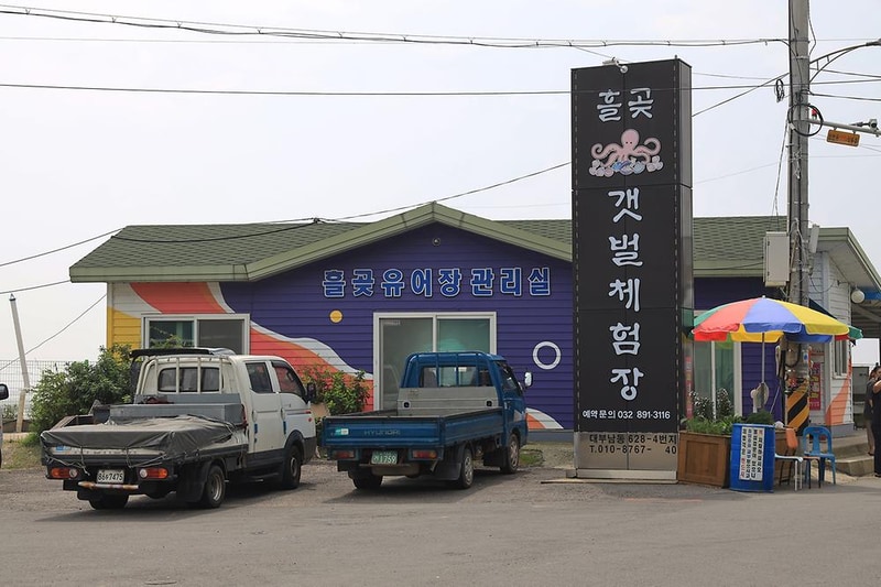 대부관광농원 오캠핑 시설 사진 16