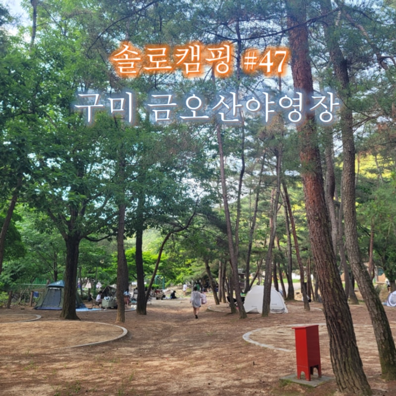 금오산 야영장