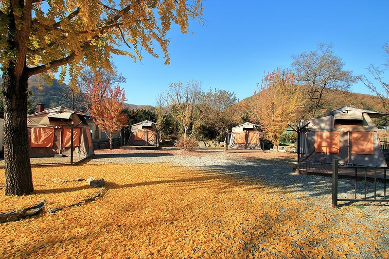 마루노리 시설 사진 9