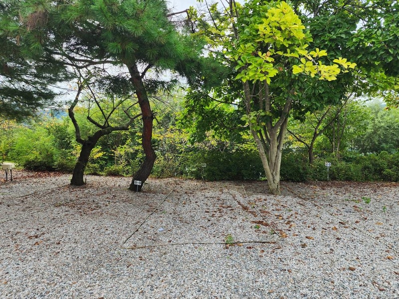 숲속에안뜰 캠핑장 시설 사진 3
