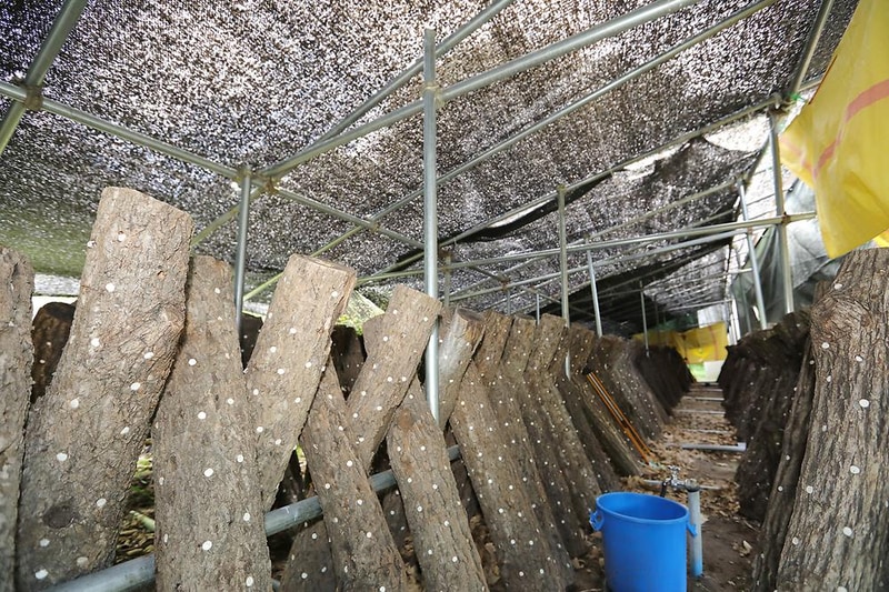 밤별캠핑장 시설 사진 3