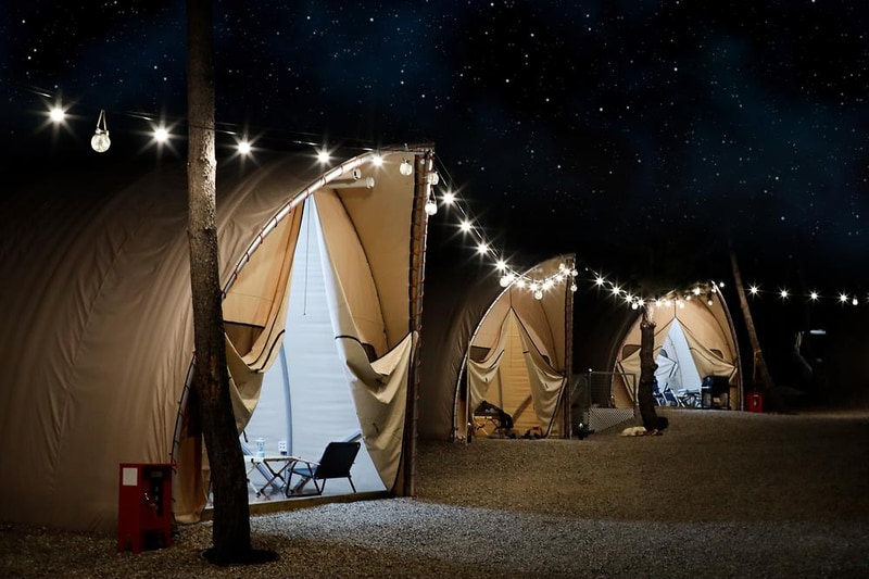 소나무세상 시설 사진 1