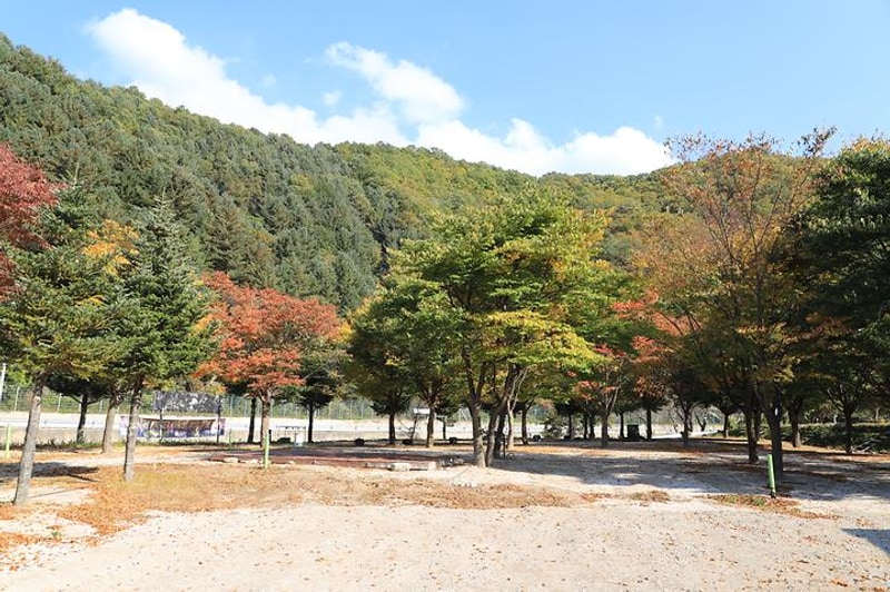 매일민박캠핑장 대표 사진