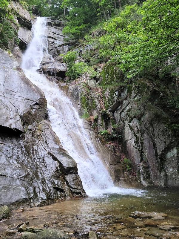 캠프 인더숲 시설 사진 18