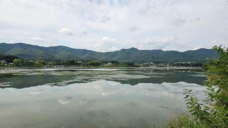 숲속에안뜰 캠핑장 시설 사진 22