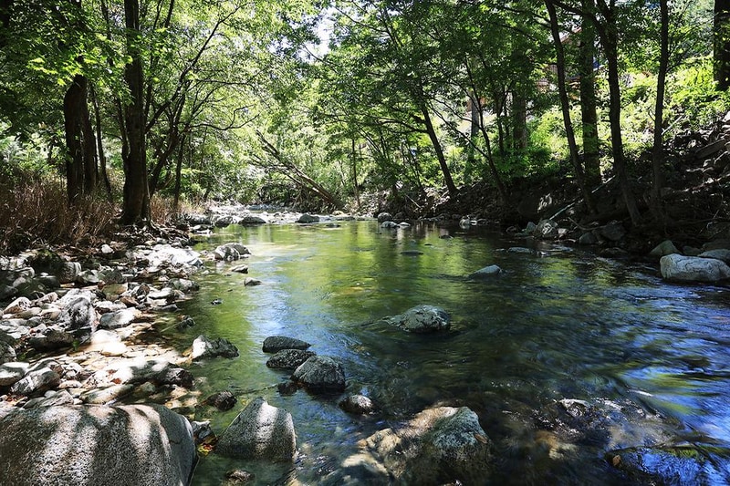 평창 자연속쉼표캠핑장 시설 사진 26