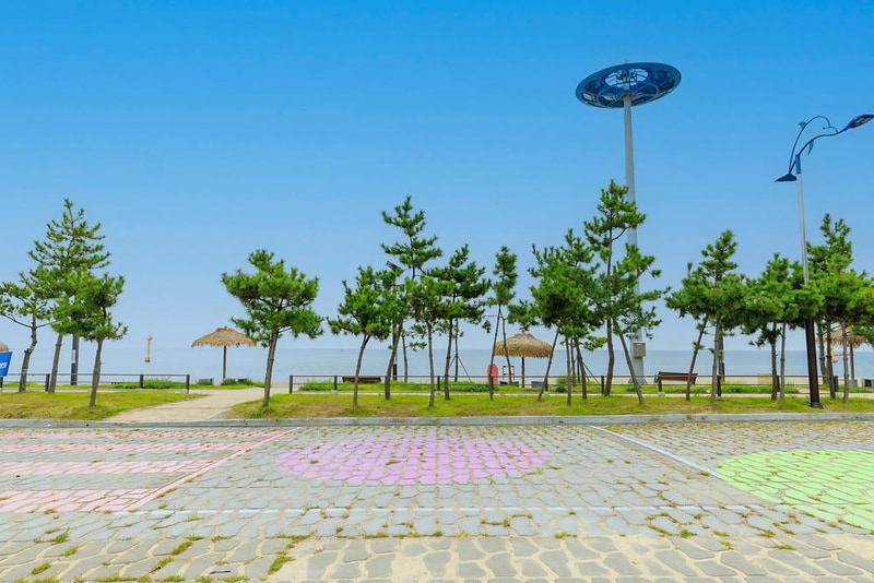 나정고운모래해변 오토캠핑장 시설 사진 11