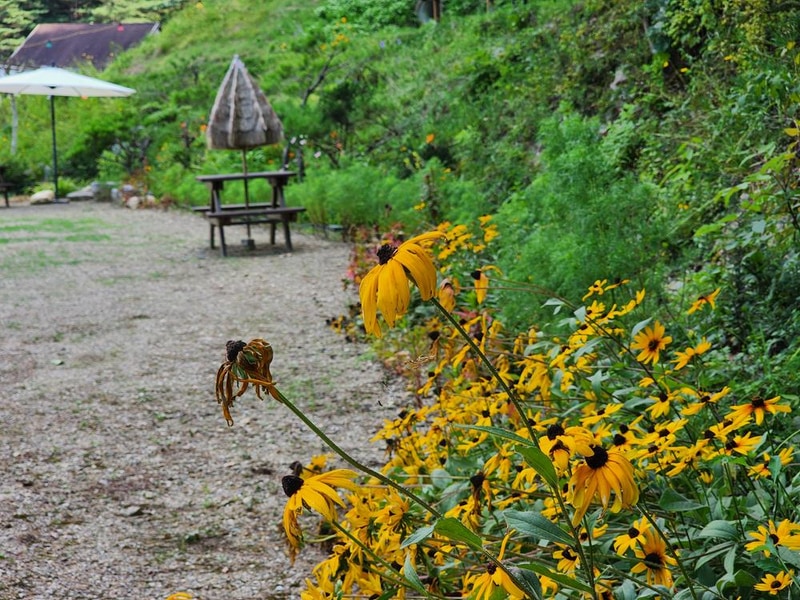 가평 오블리비아테 수영장 펜션&카라반 시설 사진 19