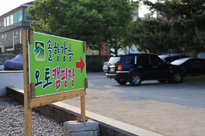 솔향강릉오토캠핑장 시설 사진 8