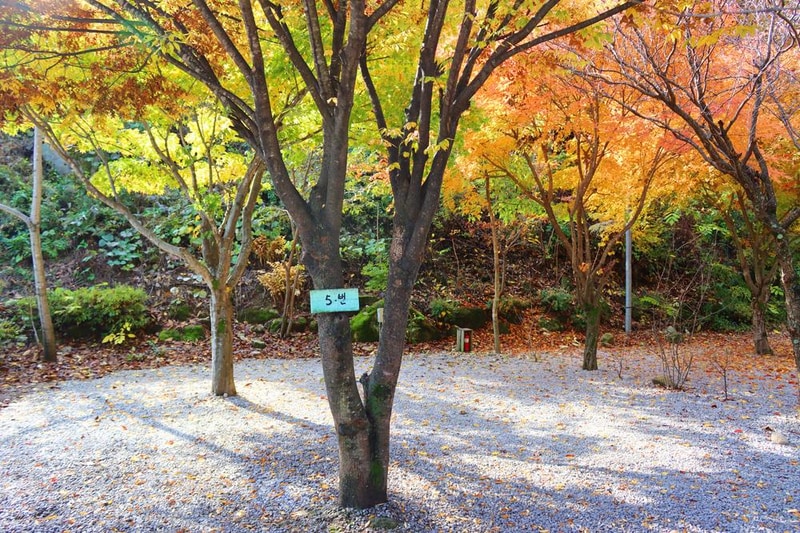 정원캠핑장 시설 사진 4