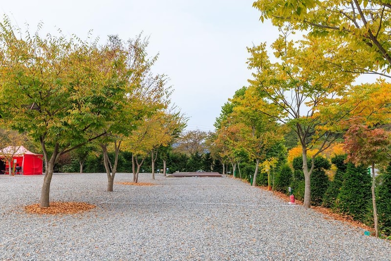 원탑캠핑장 시설 사진 16