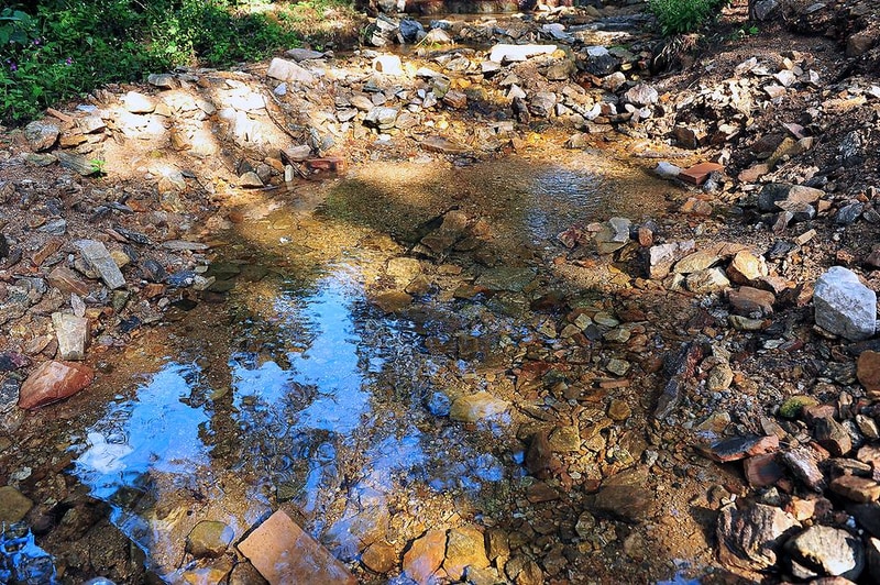유식물원 관광농원 시설 사진 5