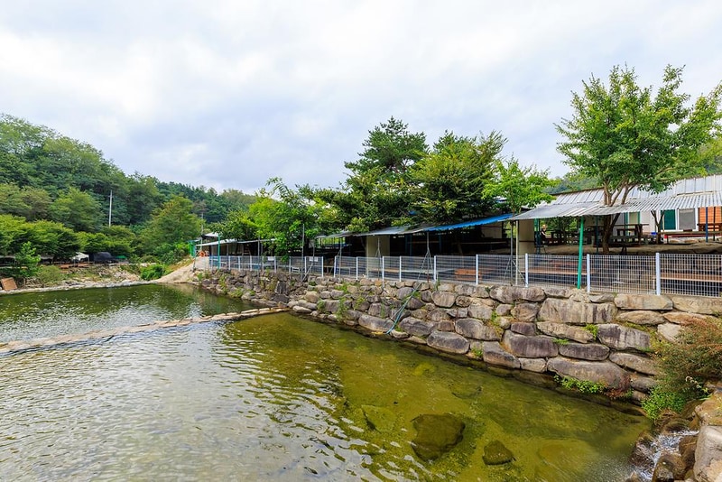 군위 솔밭야영장 시설 사진 16