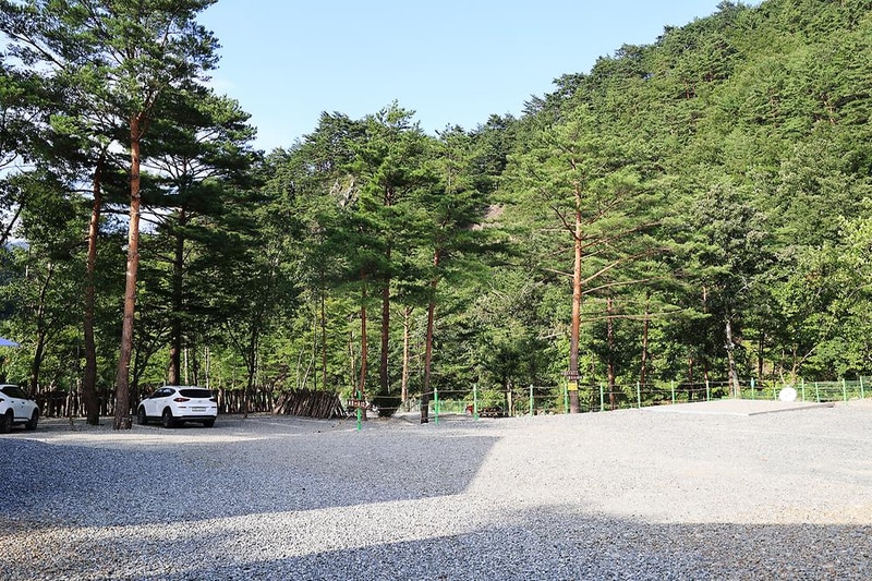 법수치오토캠핑장 시설 사진 4