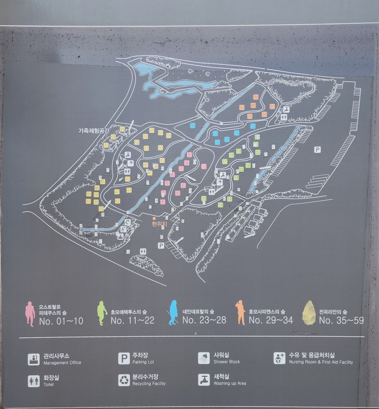 연천 전곡리유적 구석기 체험숲 배치도 1