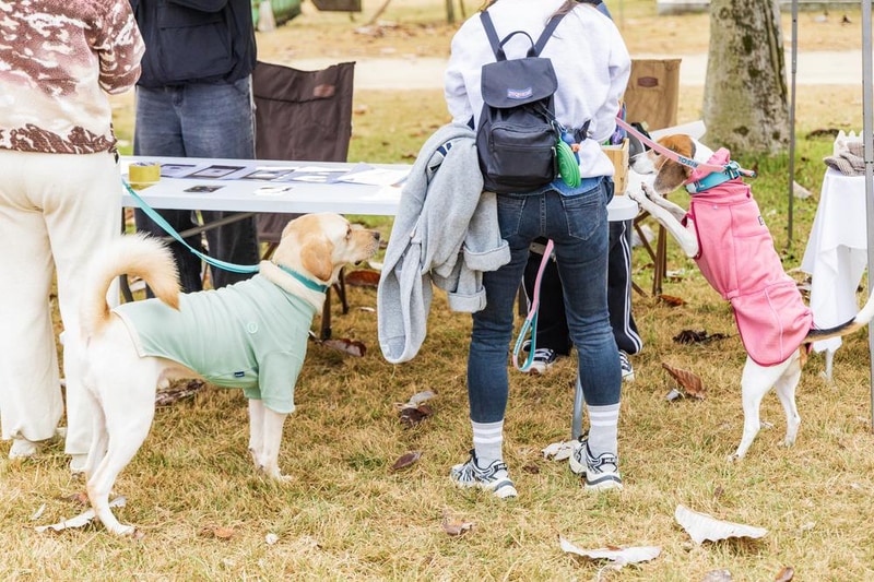 강천섬캠핑장 시설 사진 32