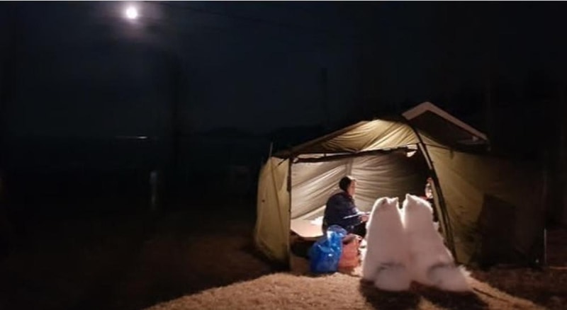 랩도그빌애견캠핑장 시설 사진 25