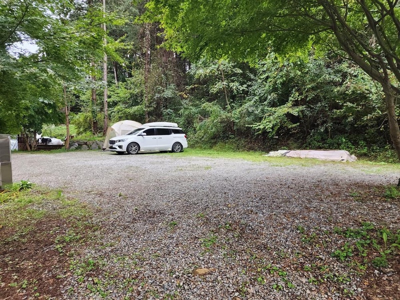 리틀 포레스트 캠핑 시설 사진 6