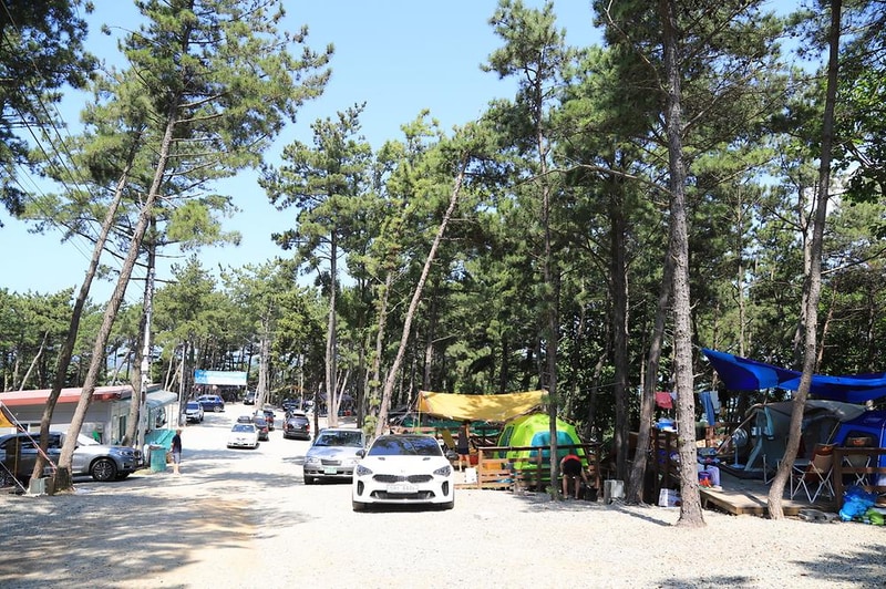 트리캠핑장 시설 사진 3