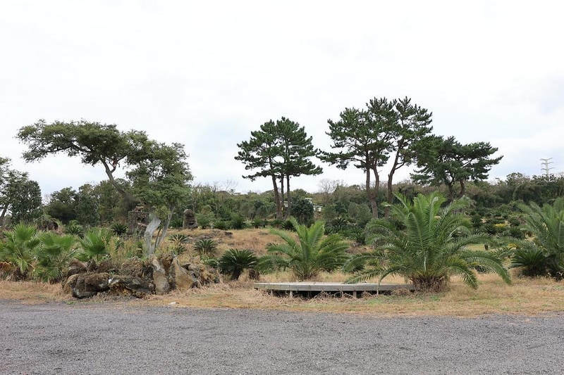 선흘리캠핑장 시설 사진 8