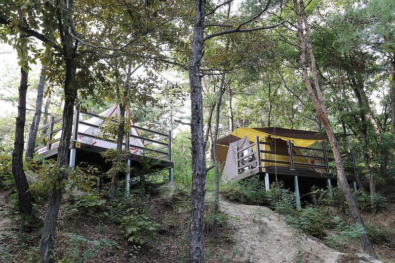 아산 영인산자연휴양림 숲속야영장 시설 사진 15