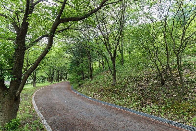 꿈꾸는 농부 오토캠핑장 시설 사진 15