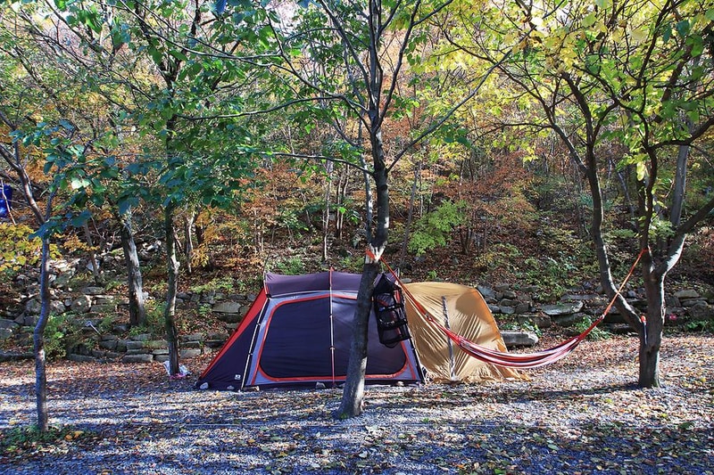 월계수 캠핑장 시설 사진 4