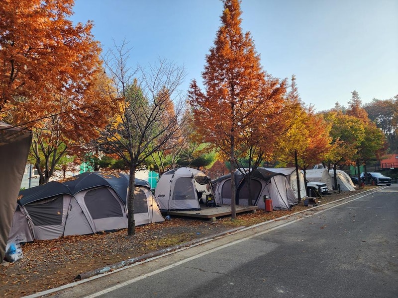 김포캠핑파크 주식회사 시설 사진 24