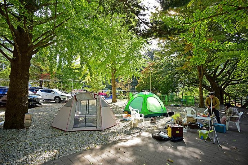 달빛고운 병곡캠핑장 대표 사진