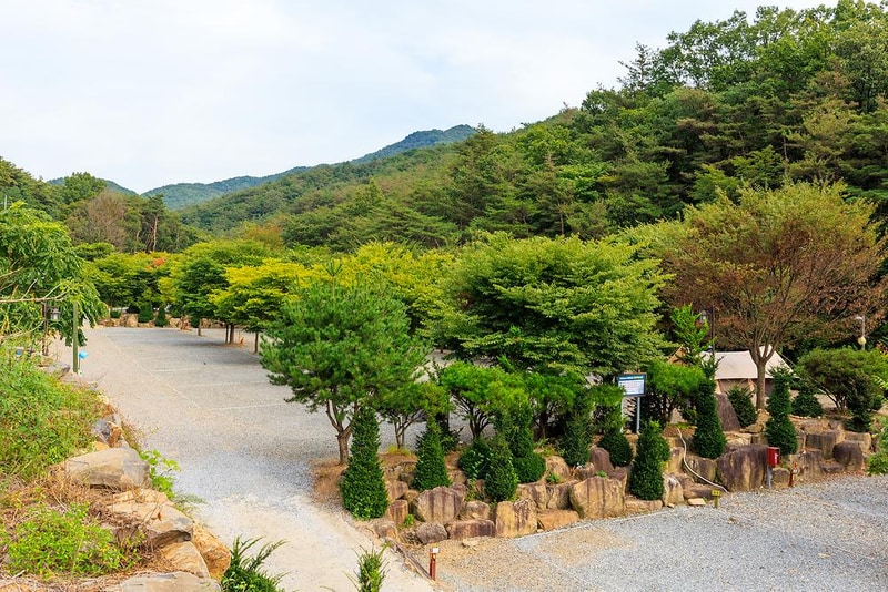 화양숲노리캠핑장 시설 사진 21