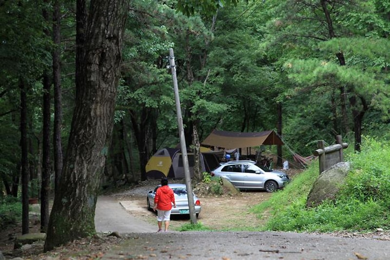 와룡자연휴양림 자동차야영장 대표 사진