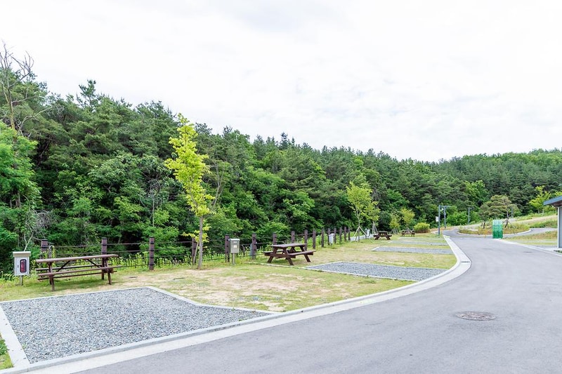 위천수변 테마파크 시설 사진 17