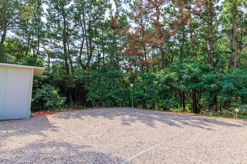 솔밭캠핑장 시설 사진 2